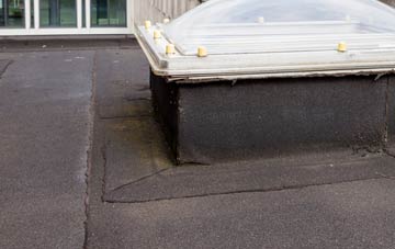 disadvantages of Housabister flat roofs